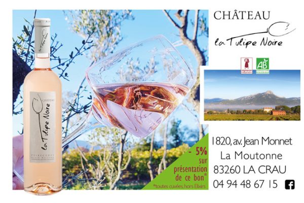 Photo de Château la tulipe noire Photo de Château la tulipe noire