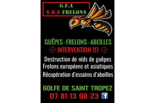 Photo de SOS FRELONS Photo de SOS FRELONS