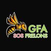 Logo de SOS FRELONS Logo de SOS FRELONS