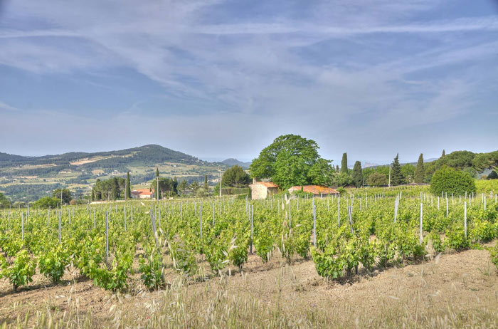 domaines viticoles autour du beausset